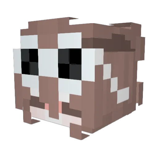 __nottsyke Minecraft avatar head, 3D render