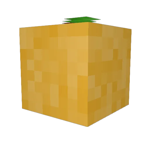 __quacker__ Minecraft avatar head, 3D render