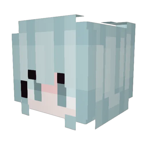 __reiuy Minecraft avatar head, 3D render