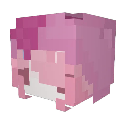 __relyT Minecraft avatar head, 3D render