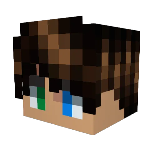 __saus__ Minecraft avatar head, 3D render