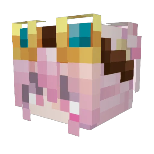 __snowa__ Minecraft avatar head, 3D render