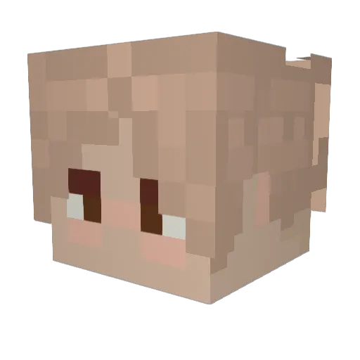 __sparky Minecraft avatar head, 3D render