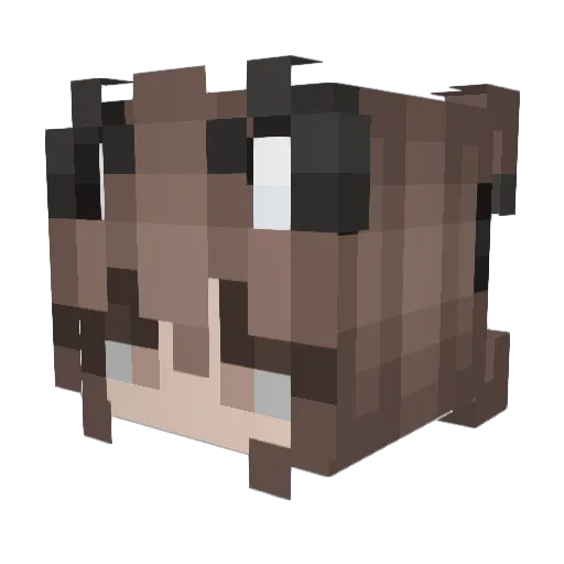__tadawh Minecraft avatar head, 3D render