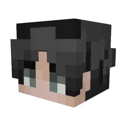 __tipiof__ Minecraft avatar head, 3D render