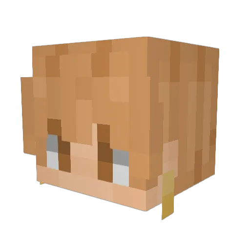 __tomatobxtch__ Minecraft avatar head, 3D render