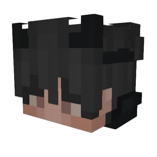 __tytanPL__ Minecraft avatar head, 3D render