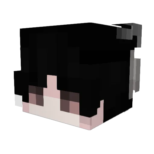 __u_ Minecraft avatar head, 3D render