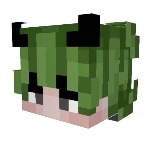 __wateR_ Minecraft avatar head, 3D render