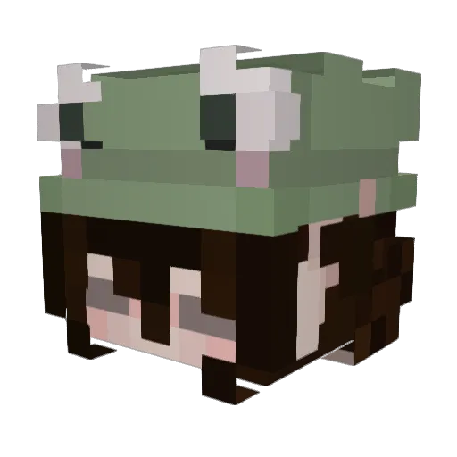 __zitty Minecraft avatar head, 3D render