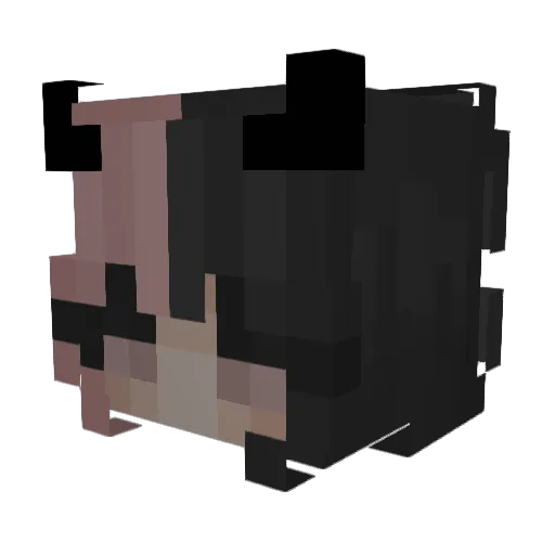 _a_person_ Minecraft avatar head, 3D render