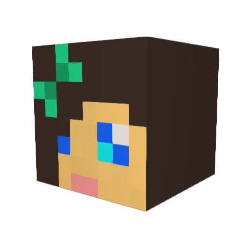_aceroo_ Minecraft avatar head, 3D render