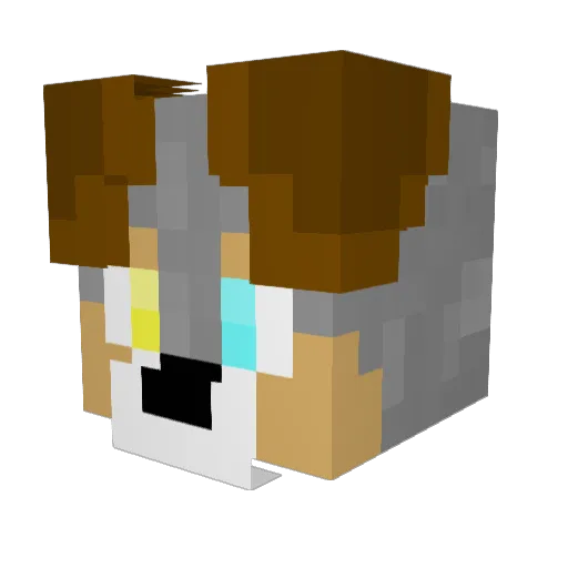 _afox Minecraft avatar head, 3D render