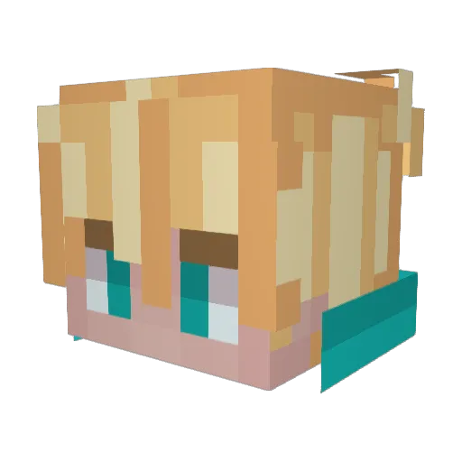 _aid1n Minecraft avatar head, 3D render