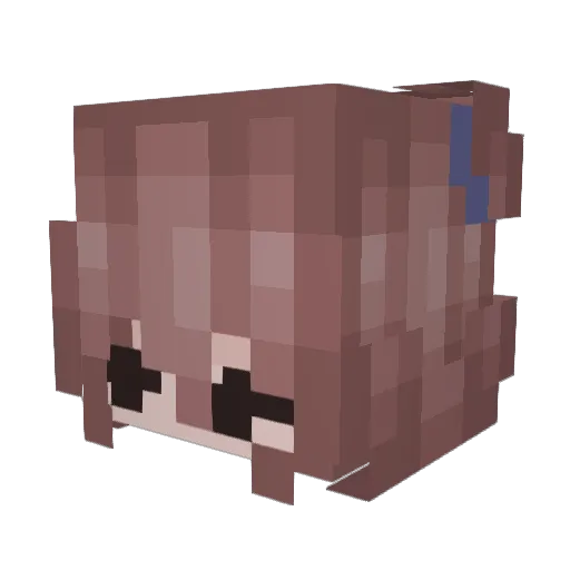 _aidenn_ Minecraft avatar head, 3D render