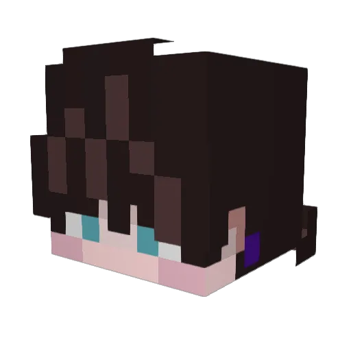 _aimr Minecraft avatar head, 3D render