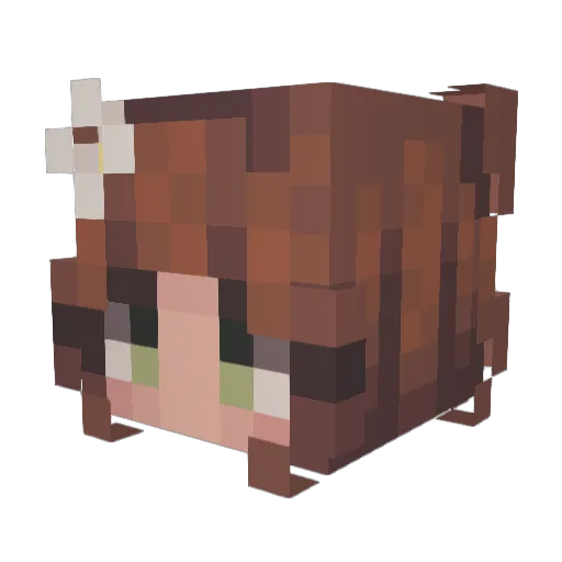 _airsp0ons Minecraft avatar head, 3D render