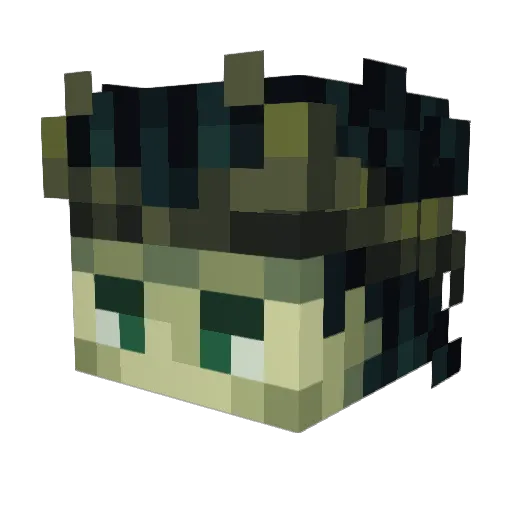 _akira_chan Minecraft avatar head, 3D render