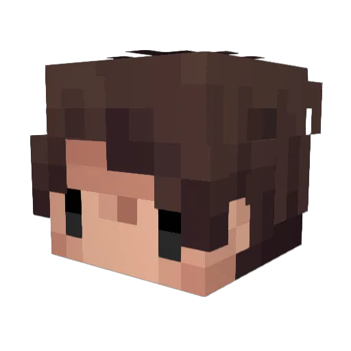 _al0s_ Minecraft avatar head, 3D render
