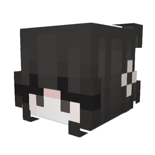 _albyn_ Minecraft avatar head, 3D render