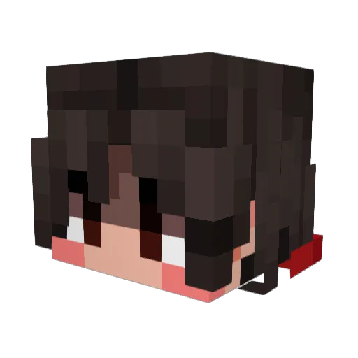 _alllga Minecraft avatar head, 3D render