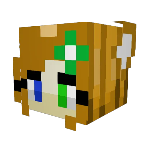 _alpakas_ Minecraft avatar head, 3D render