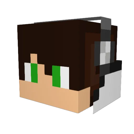 _an21_ Minecraft avatar head, 3D render