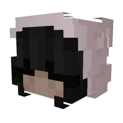 _anani_ Minecraft avatar head, 3D render