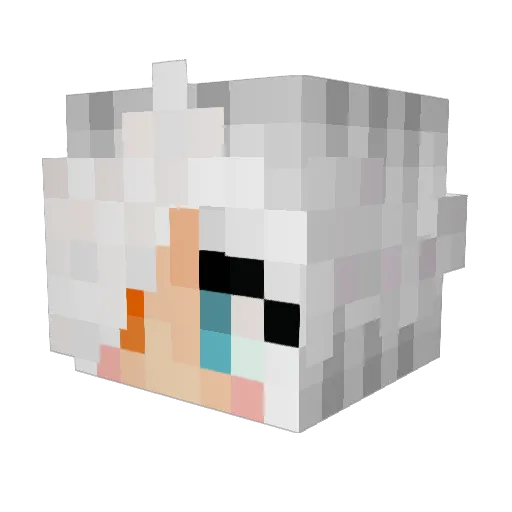 _angee_ Minecraft avatar head, 3D render