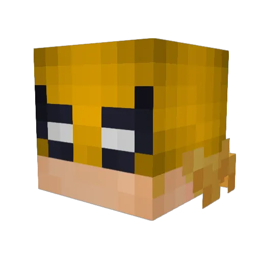 _angyx_ Minecraft avatar head, 3D render