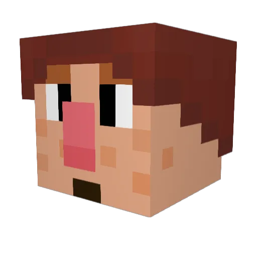 _anonn Minecraft avatar head, 3D render