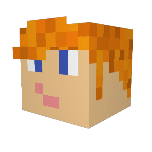 _anthiny_ Minecraft avatar head, 3D render