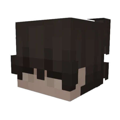 _antxnin Minecraft avatar head, 3D render