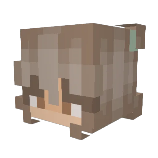 _arexx Minecraft avatar head, 3D render