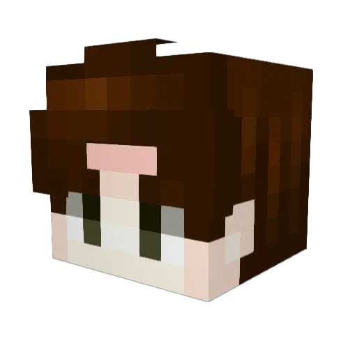 _arra_ Minecraft avatar head, 3D render