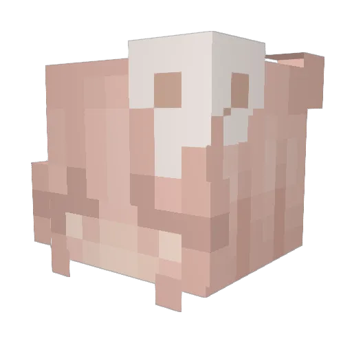 _arrozconleche_ Minecraft avatar head, 3D render