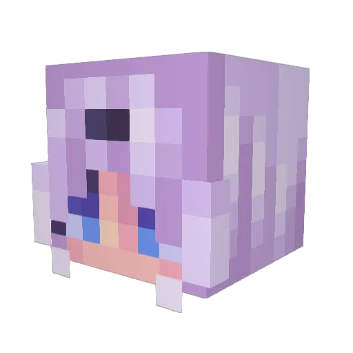_auroranova_ Minecraft avatar head, 3D render
