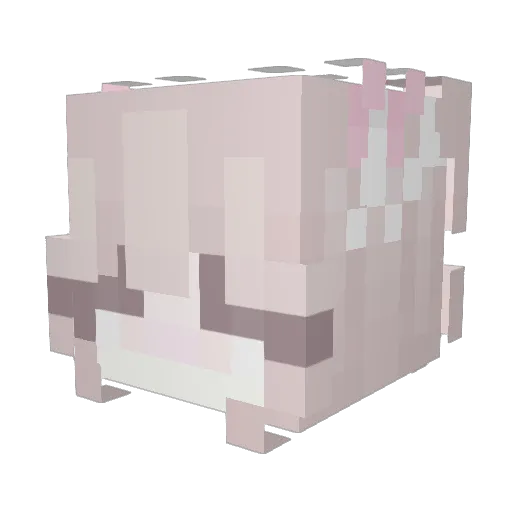 _averyyy Minecraft avatar head, 3D render