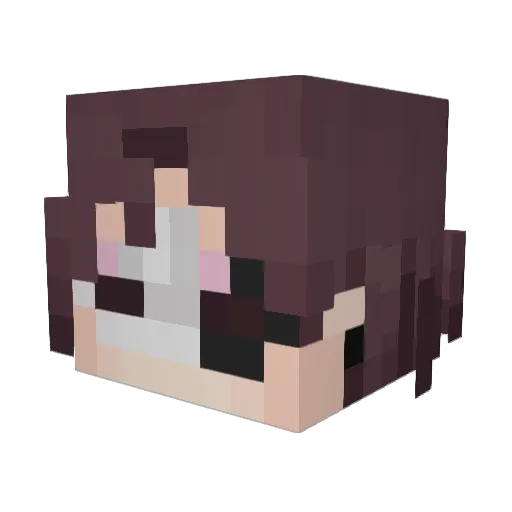 _ayyRik Minecraft avatar head, 3D render