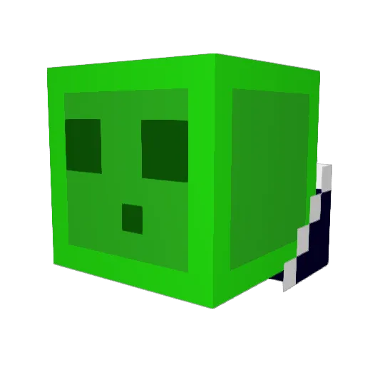 _b0rty Minecraft avatar head, 3D render