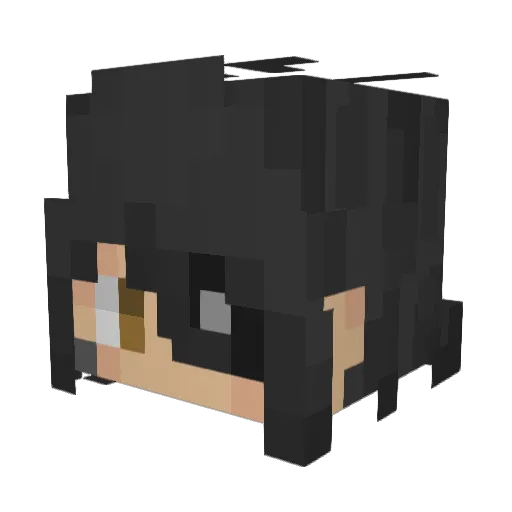 _b_s_n_ Minecraft avatar head, 3D render