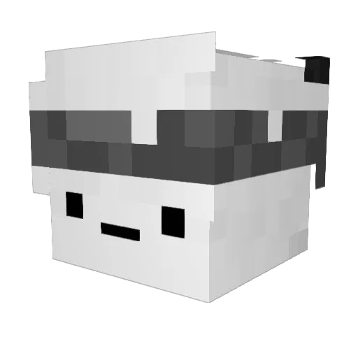 _bah_ Minecraft avatar head, 3D render