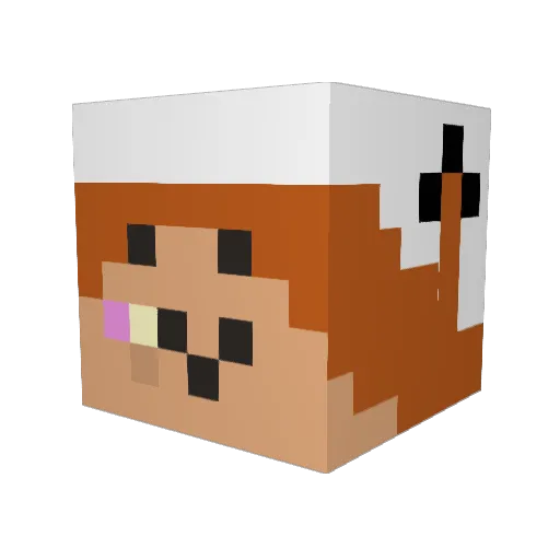 _balos Minecraft avatar head, 3D render