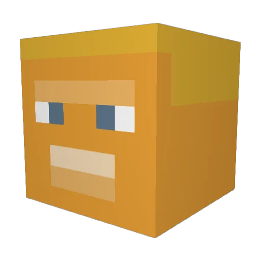 _bash423 Minecraft avatar head, 3D render