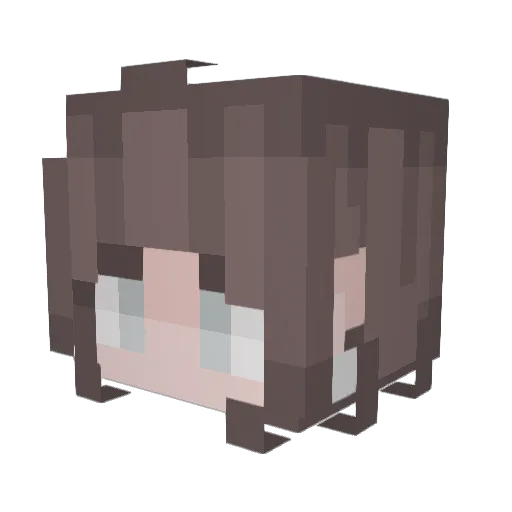 _beagames Minecraft avatar head, 3D render