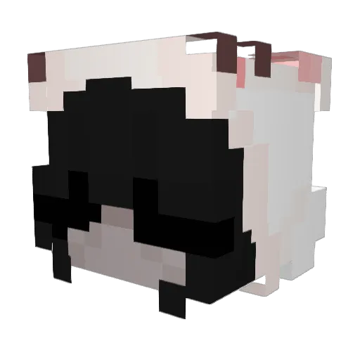 _bellaax Minecraft avatar head, 3D render