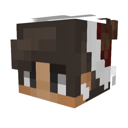 _bfhyunjin Minecraft avatar head, 3D render