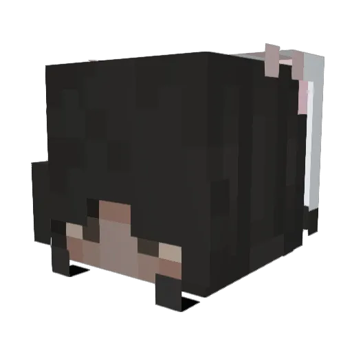 _biscuites_ Minecraft avatar head, 3D render