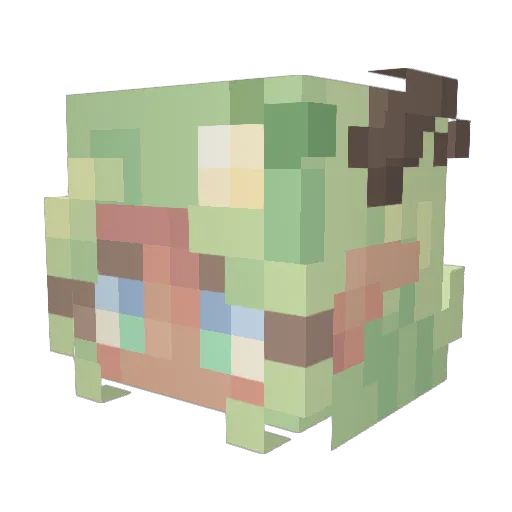 _blanknoise Minecraft avatar head, 3D render