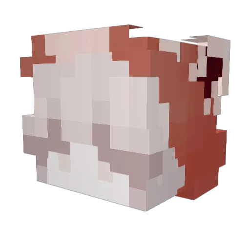 _bleeb Minecraft avatar head, 3D render